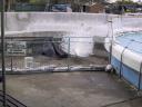 120-2050_IMG.JPG