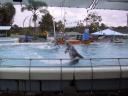 120-2053_IMG.JPG