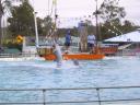 120-2061_IMG.JPG