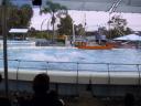 120-2065_IMG.JPG