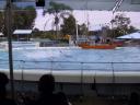120-2066_IMG.JPG