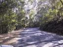120-2077_IMG.JPG