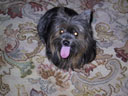 Frannie