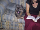 Frannie