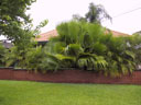 Photo #01