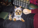 Poppy!
