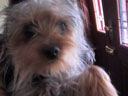 Poppy!