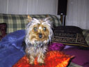 Poppy!