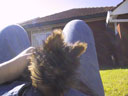 Puppy!