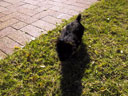 Puppy!