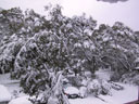 Skiing Photo