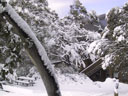 Skiing Photo