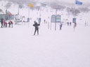 Skiing Photo