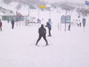 Skiing Photo