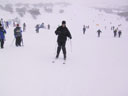Skiing Photo