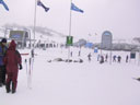 Skiing Photo