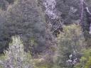 119-2000_IMG.JPG