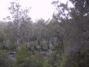 122-2204_IMG.JPG