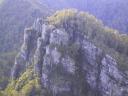 122-2238_IMG.JPG