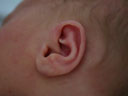 Ear!