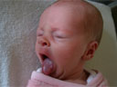 Tongue