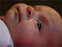 Closeup