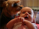 Poppy takes an interest